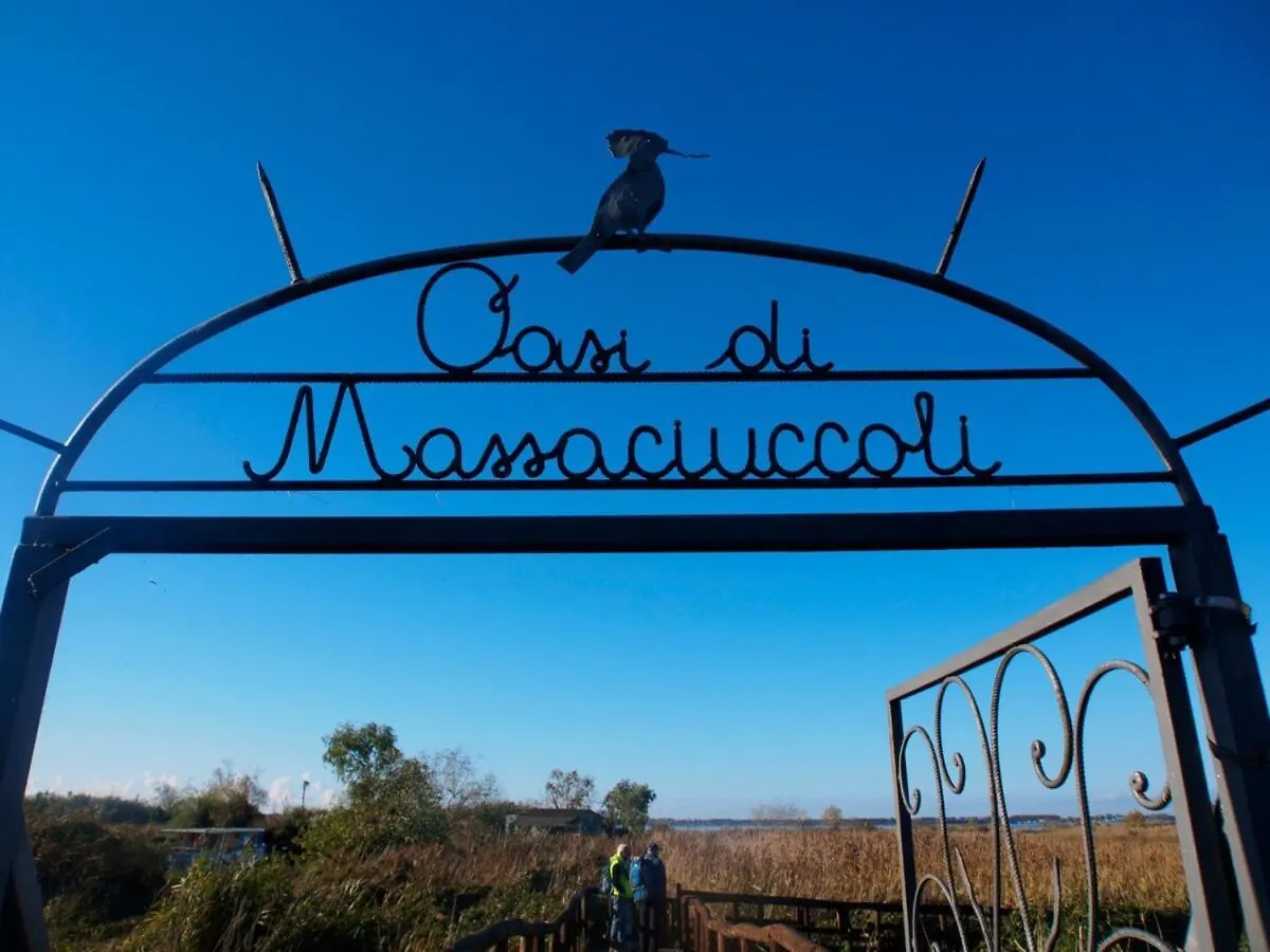 Casa Dery Villa Massaciuccoli Holiday home
